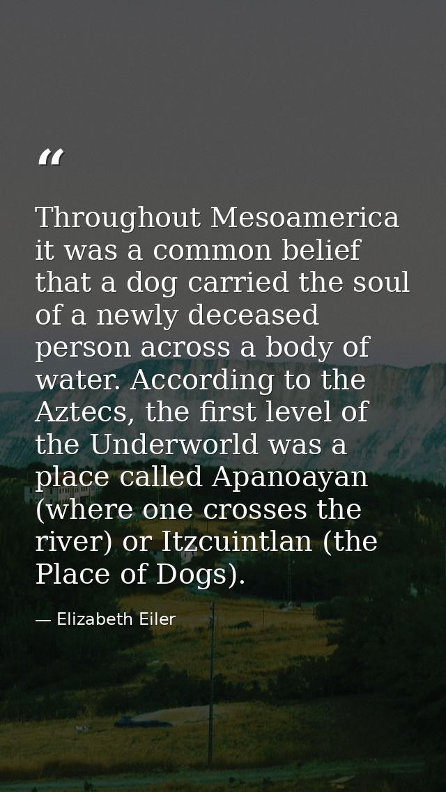 Throughout Mesoamerica it was a common belief that a dog carried the soul of a newly deceased person across a body of wa — Elizabeth Eiler