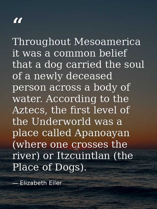 Throughout Mesoamerica it was a common belief that a dog carried the soul of a newly deceased person across a body of wa — Elizabeth Eiler