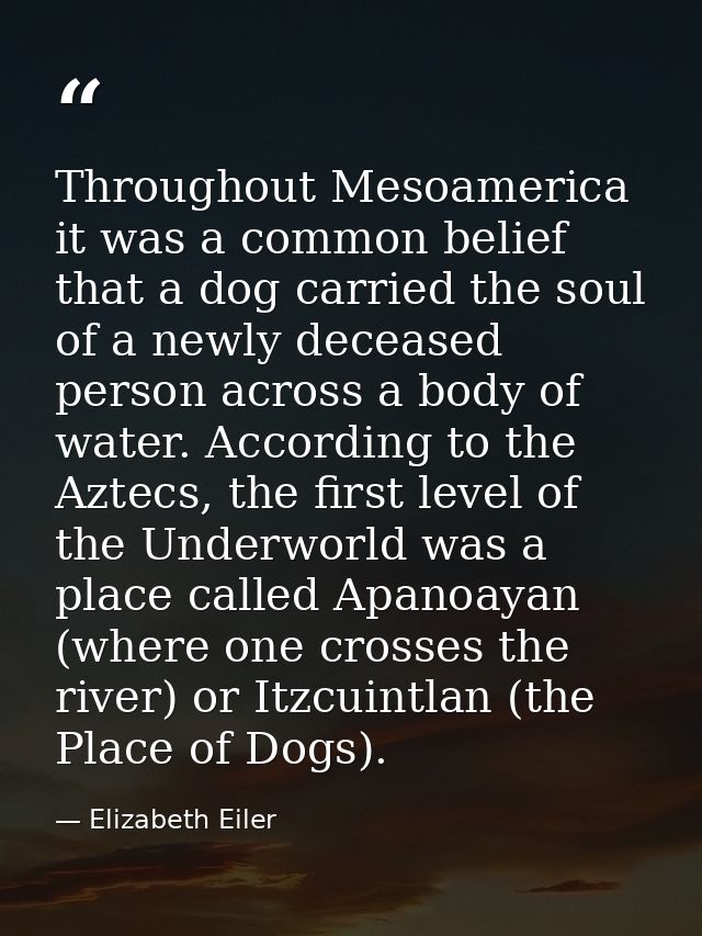 Throughout Mesoamerica it was a common belief that a dog carried the soul of a newly deceased person across a body of wa — Elizabeth Eiler