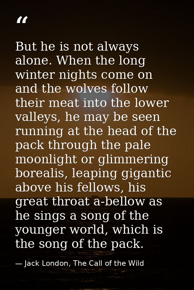 But he is not always alone. When the long winter nights come on and the wolves follow their meat into the lower valleys, — Jack London, The Call of the Wild