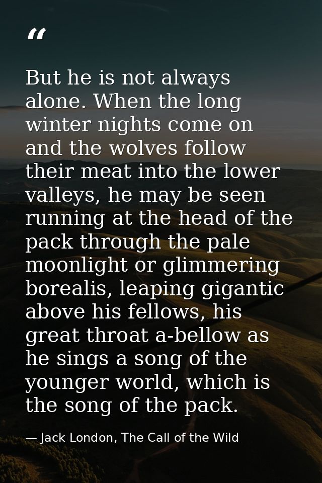 But he is not always alone. When the long winter nights come on and the wolves follow their meat into the lower valleys, — Jack London, The Call of the Wild