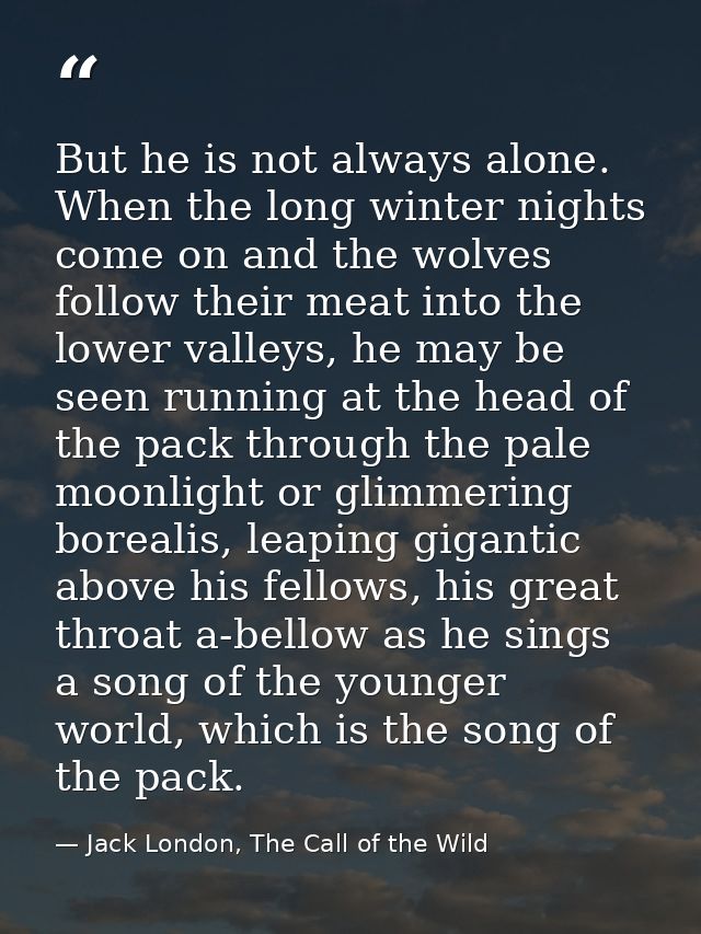 But he is not always alone. When the long winter nights come on and the wolves follow their meat into the lower valleys, — Jack London, The Call of the Wild