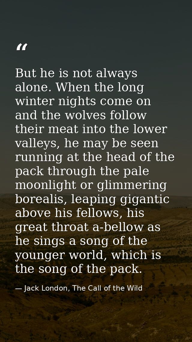 But he is not always alone. When the long winter nights come on and the wolves follow their meat into the lower valleys, — Jack London, The Call of the Wild