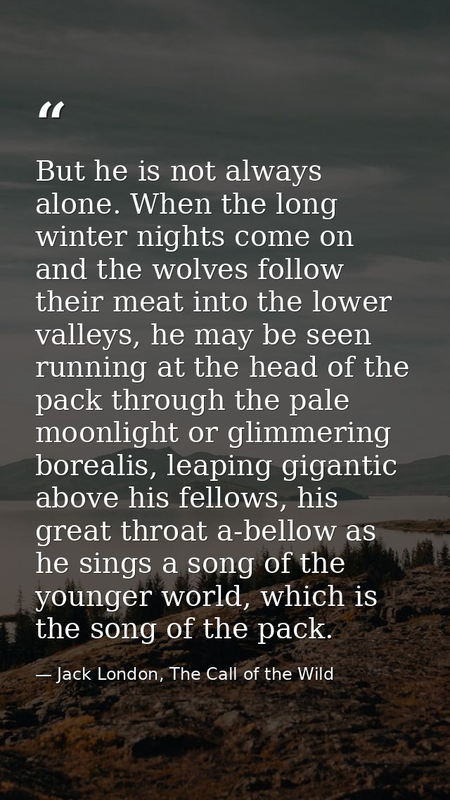 But he is not always alone. When the long winter nights come on and the wolves follow their meat into the lower valleys, — Jack London, The Call of the Wild
