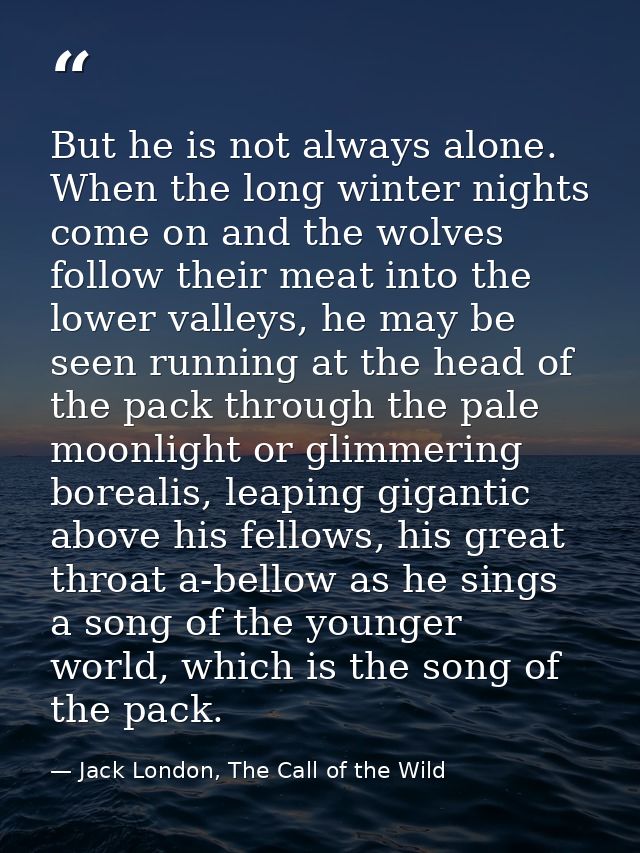 But he is not always alone. When the long winter nights come on and the wolves follow their meat into the lower valleys, — Jack London, The Call of the Wild