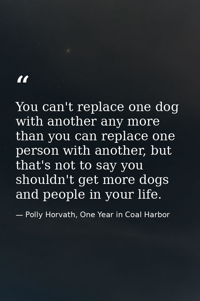 You can't replace one dog with another any more than you can replace one person with another, but that's not to say you  — Polly Horvath, One Year in Coal Harbor