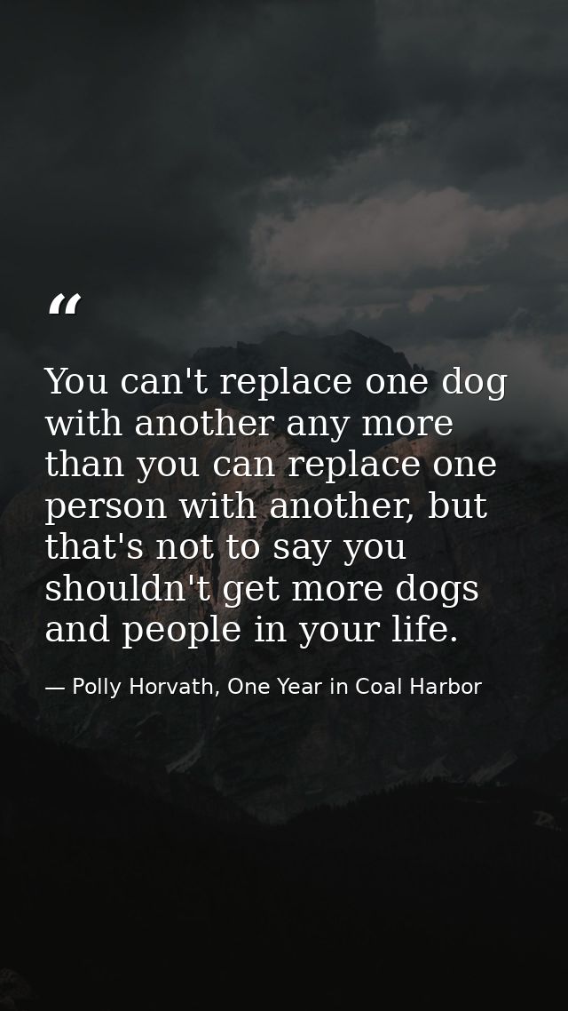 You can't replace one dog with another any more than you can replace one person with another, but that's not to say you  — Polly Horvath, One Year in Coal Harbor