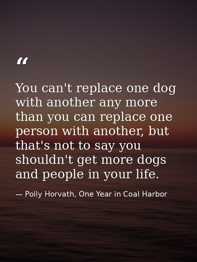 You can't replace one dog with another any more than you can replace one person with another, but that's not to say you  — Polly Horvath, One Year in Coal Harbor