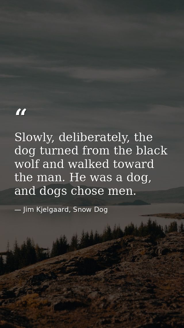 Slowly, deliberately, the dog turned from the black wolf and walked toward the man. He was a dog, and dogs chose men. — Jim Kjelgaard, Snow Dog
