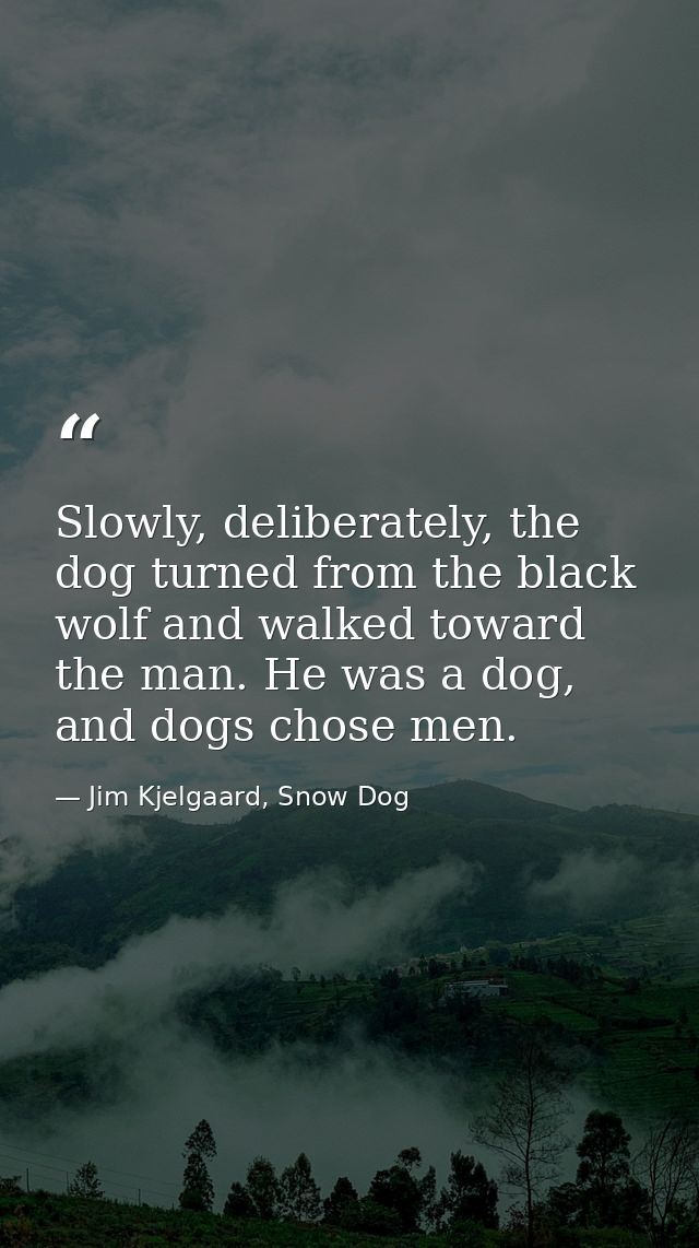 Slowly, deliberately, the dog turned from the black wolf and walked toward the man. He was a dog, and dogs chose men. — Jim Kjelgaard, Snow Dog