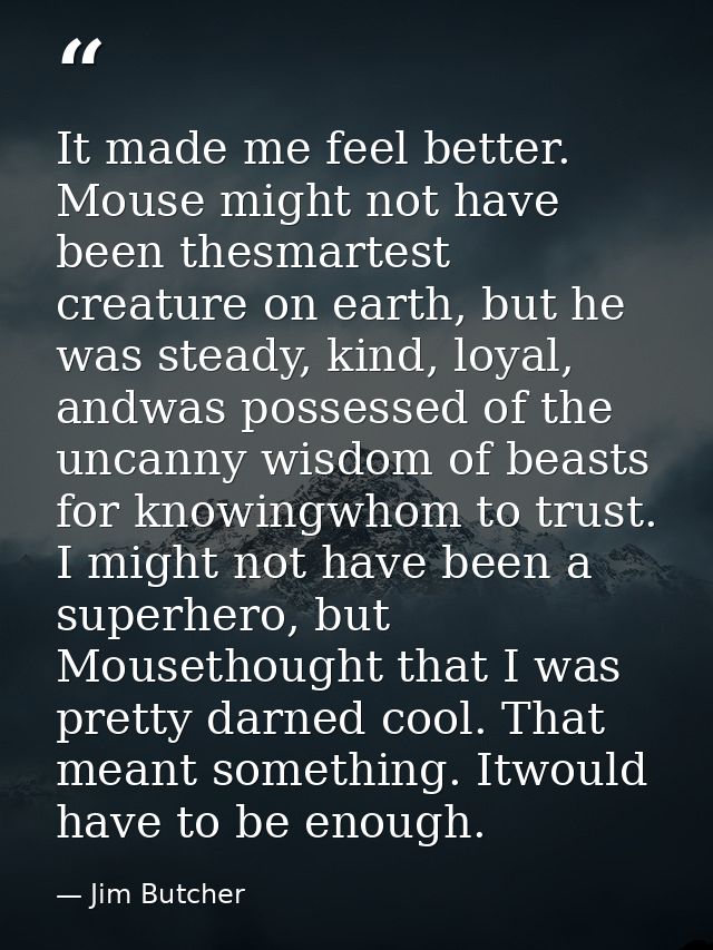 It made me feel better. Mouse might not have been thesmartest creature on earth, but he was steady, kind, loyal, andwas  — Jim Butcher