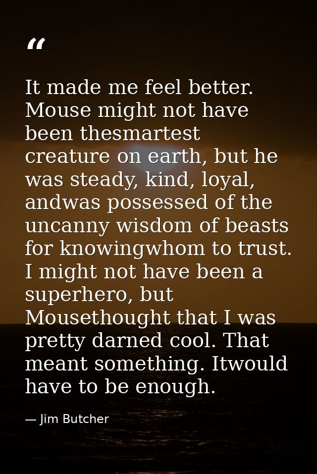 It made me feel better. Mouse might not have been thesmartest creature on earth, but he was steady, kind, loyal, andwas  — Jim Butcher