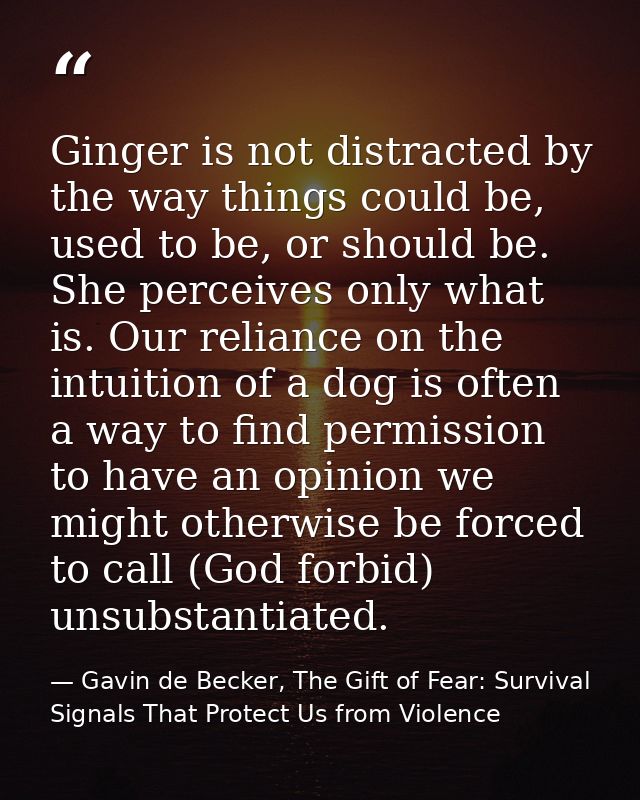 Ginger is not distracted by the way things could be, used to be, or should be. She perceives only what is. Our reliance  — Gavin de Becker, The Gift of Fear: Survival Signals That Protect Us from Violence