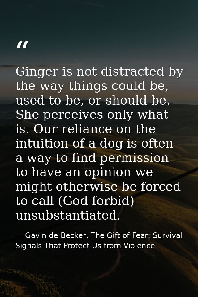 Ginger is not distracted by the way things could be, used to be, or should be. She perceives only what is. Our reliance  — Gavin de Becker, The Gift of Fear: Survival Signals That Protect Us from Violence