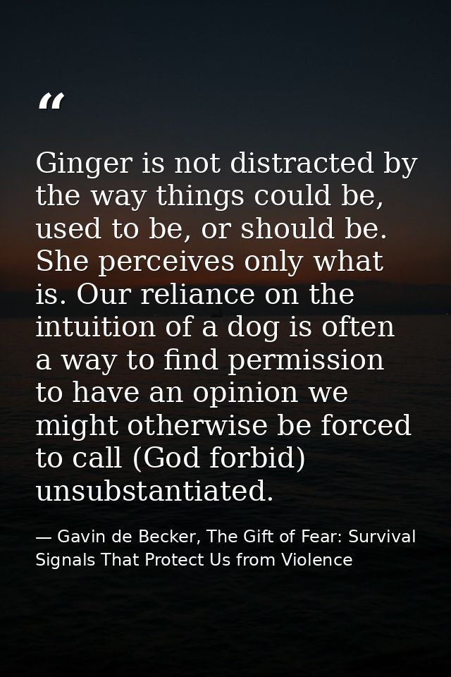 Ginger is not distracted by the way things could be, used to be, or should be. She perceives only what is. Our reliance  — Gavin de Becker, The Gift of Fear: Survival Signals That Protect Us from Violence