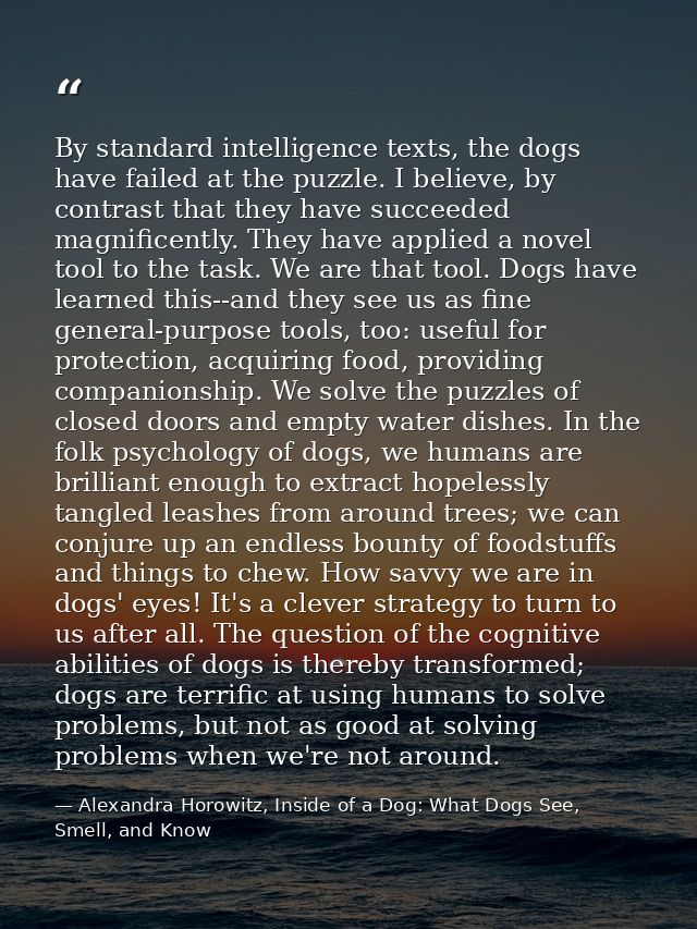 By standard intelligence texts, the dogs have failed at the puzzle. I believe, by contrast that they have succeeded magn — Alexandra Horowitz, Inside of a Dog: What Dogs See, Smell, and Know