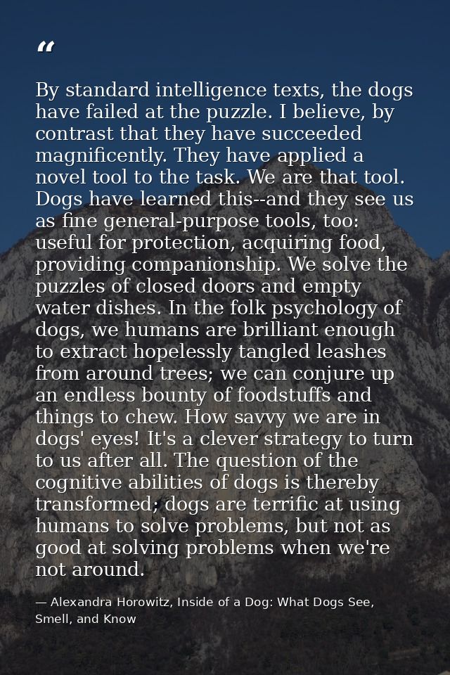 By standard intelligence texts, the dogs have failed at the puzzle. I believe, by contrast that they have succeeded magn — Alexandra Horowitz, Inside of a Dog: What Dogs See, Smell, and Know