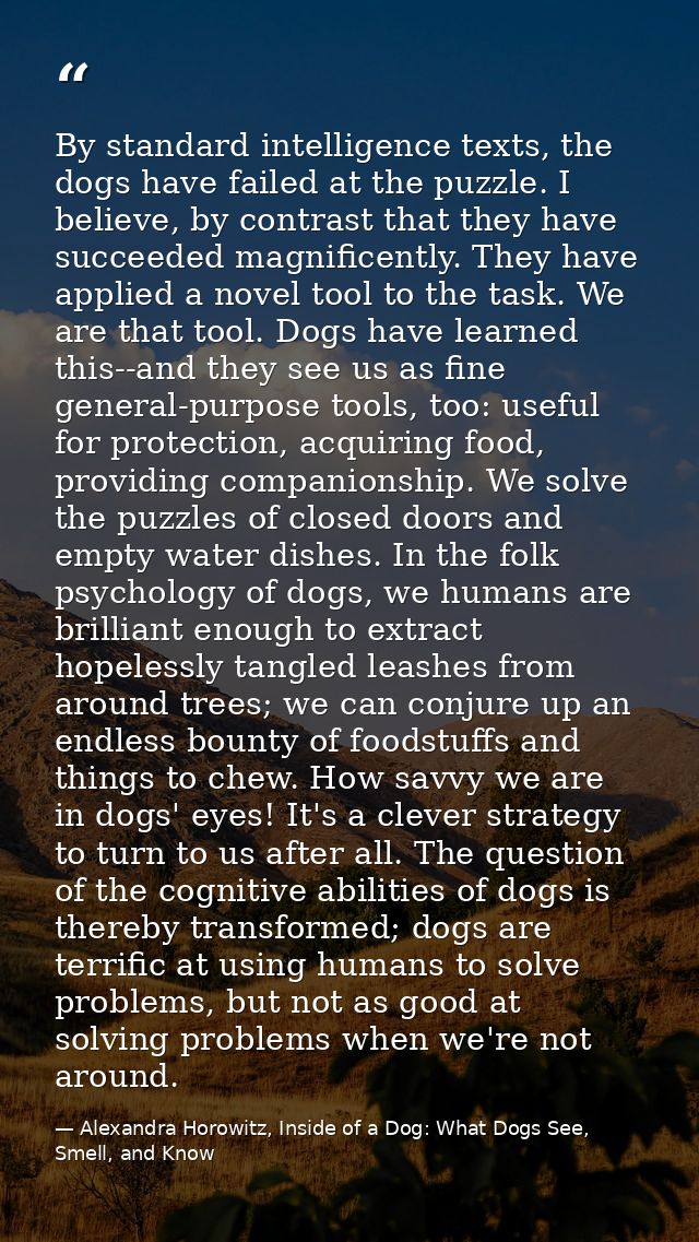 By standard intelligence texts, the dogs have failed at the puzzle. I believe, by contrast that they have succeeded magn — Alexandra Horowitz, Inside of a Dog: What Dogs See, Smell, and Know