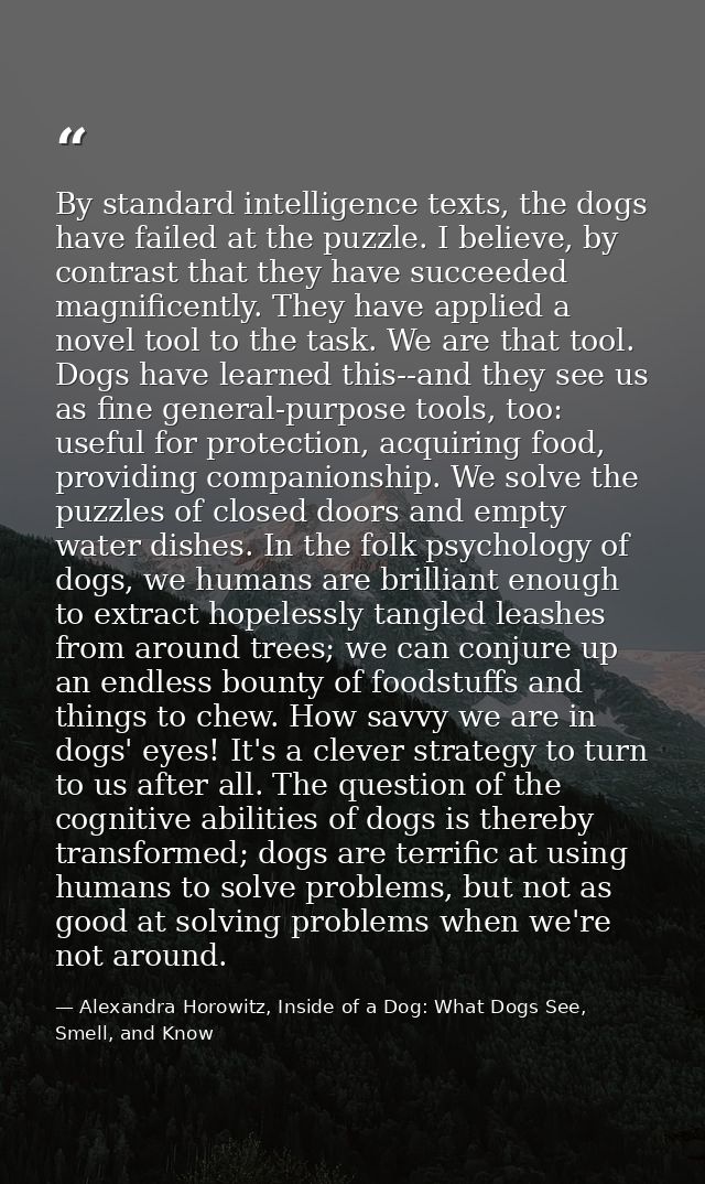 By standard intelligence texts, the dogs have failed at the puzzle. I believe, by contrast that they have succeeded magn — Alexandra Horowitz, Inside of a Dog: What Dogs See, Smell, and Know