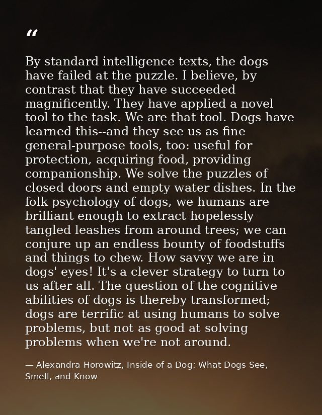 By standard intelligence texts, the dogs have failed at the puzzle. I believe, by contrast that they have succeeded magn — Alexandra Horowitz, Inside of a Dog: What Dogs See, Smell, and Know