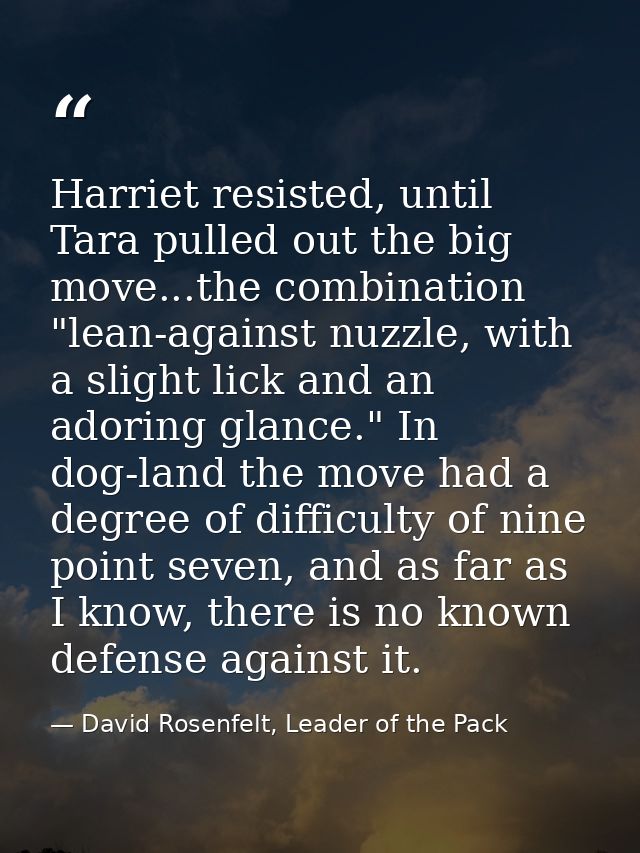 Harriet resisted, until Tara pulled out the big move...the combination "lean-against nuzzle, with a slight lick and an a — David Rosenfelt, Leader of the Pack