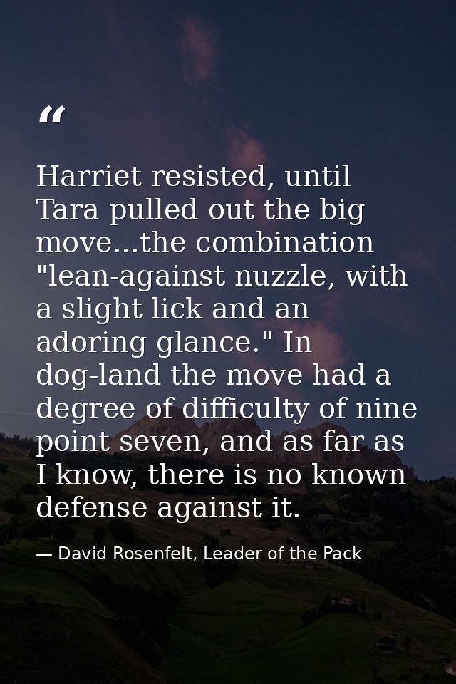Harriet resisted, until Tara pulled out the big move...the combination "lean-against nuzzle, with a slight lick and an a — David Rosenfelt, Leader of the Pack