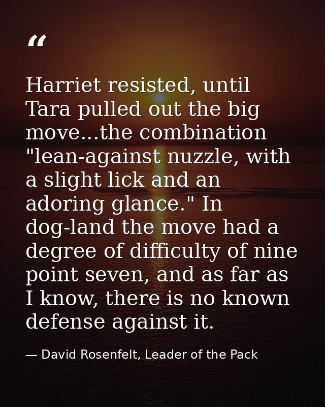 Harriet resisted, until Tara pulled out the big move...the combination "lean-against nuzzle, with a slight lick and an a — David Rosenfelt, Leader of the Pack