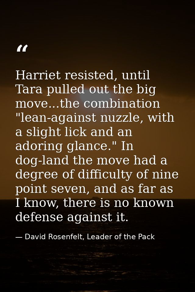 Harriet resisted, until Tara pulled out the big move...the combination "lean-against nuzzle, with a slight lick and an a — David Rosenfelt, Leader of the Pack