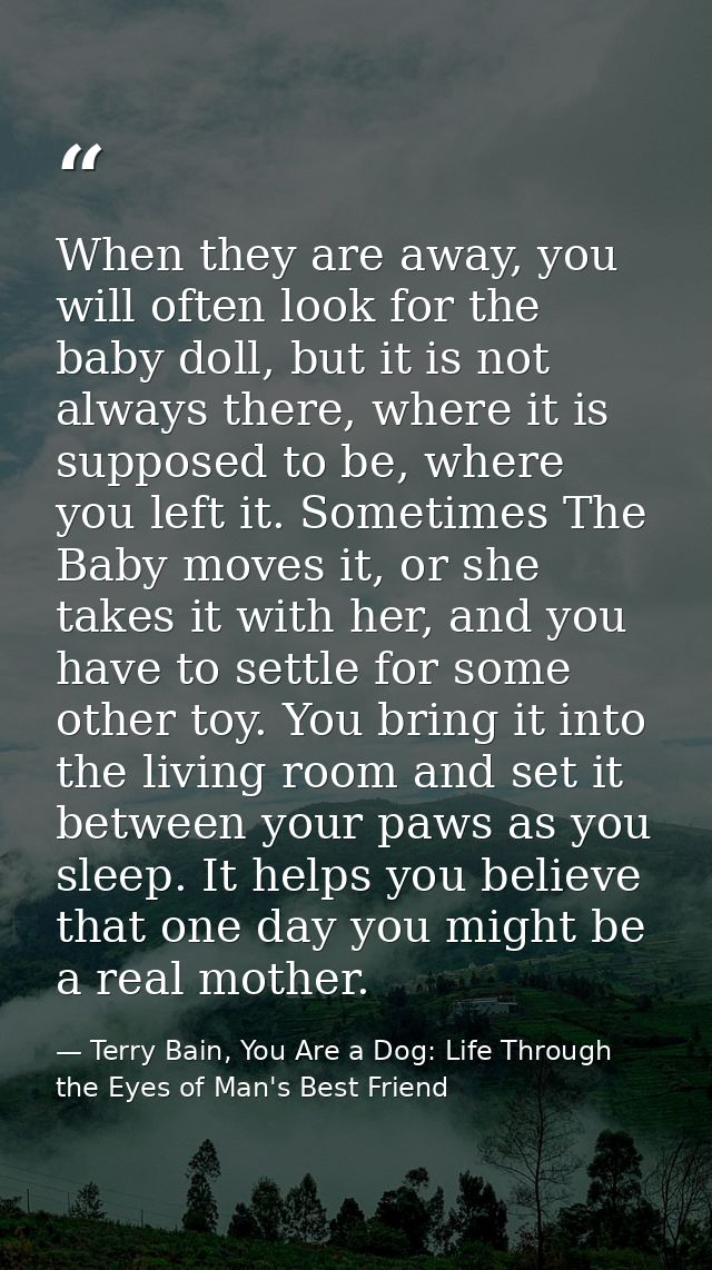 When they are away, you will often look for the baby doll, but it is not always there, where it is supposed to be, where — Terry Bain, You Are a Dog: Life Through the Eyes of Man's Best Friend