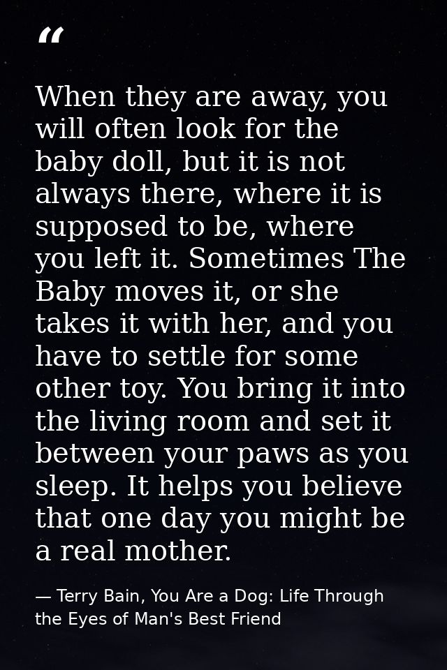 When they are away, you will often look for the baby doll, but it is not always there, where it is supposed to be, where — Terry Bain, You Are a Dog: Life Through the Eyes of Man's Best Friend