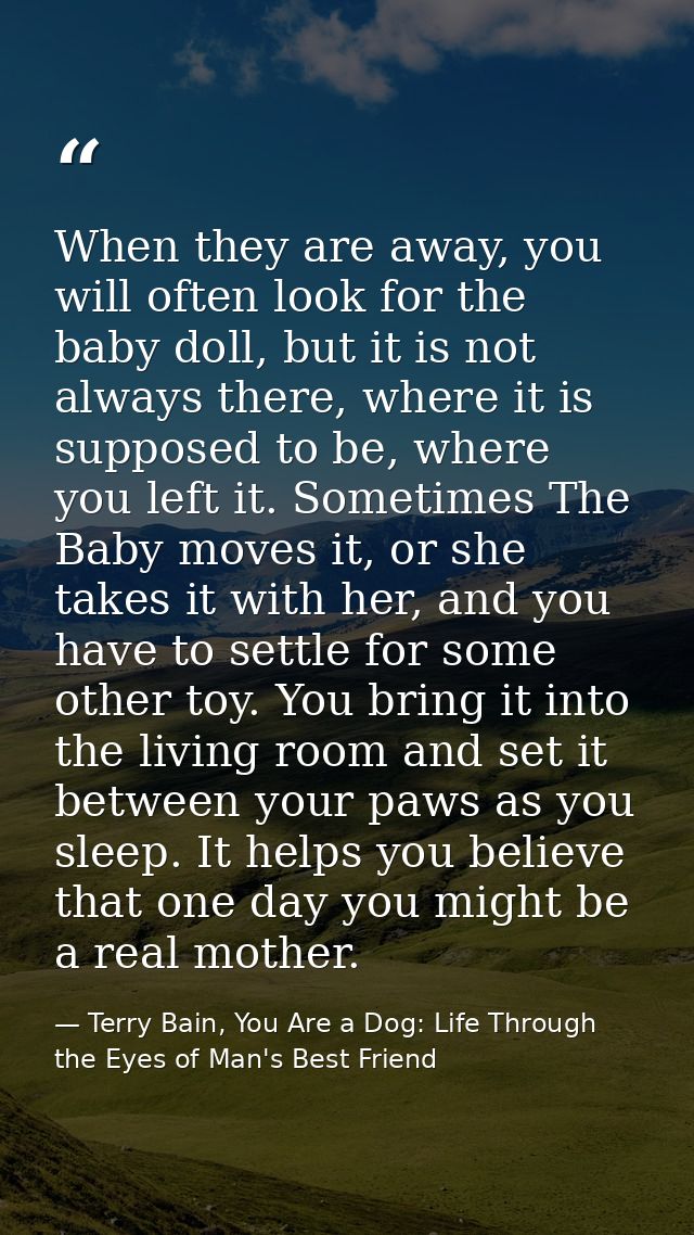 When they are away, you will often look for the baby doll, but it is not always there, where it is supposed to be, where — Terry Bain, You Are a Dog: Life Through the Eyes of Man's Best Friend