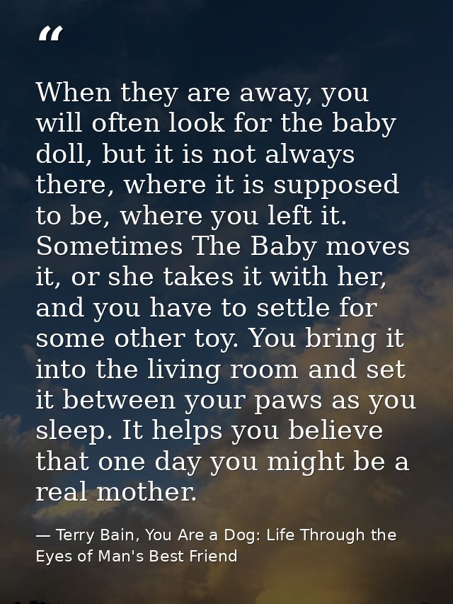When they are away, you will often look for the baby doll, but it is not always there, where it is supposed to be, where — Terry Bain, You Are a Dog: Life Through the Eyes of Man's Best Friend