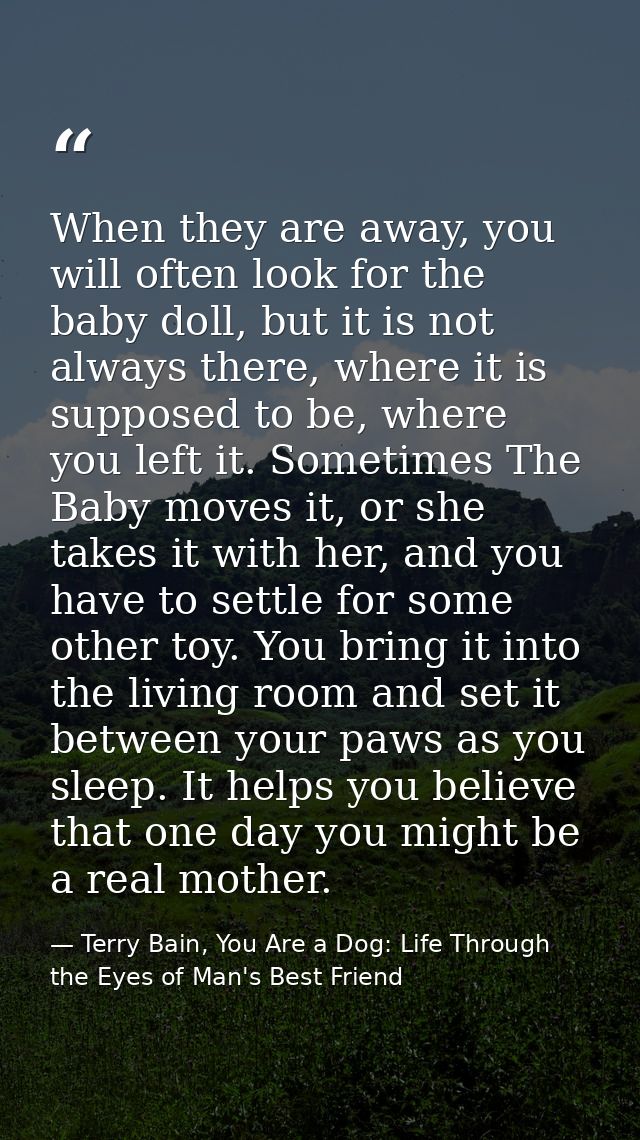 When they are away, you will often look for the baby doll, but it is not always there, where it is supposed to be, where — Terry Bain, You Are a Dog: Life Through the Eyes of Man's Best Friend