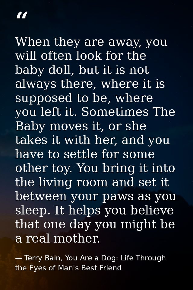 When they are away, you will often look for the baby doll, but it is not always there, where it is supposed to be, where — Terry Bain, You Are a Dog: Life Through the Eyes of Man's Best Friend