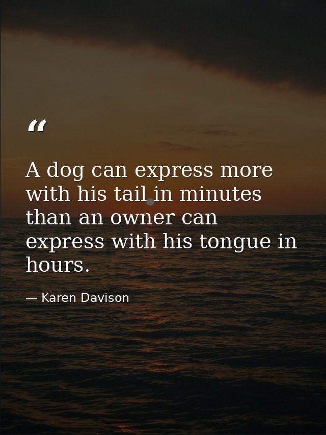 A dog can express more with his tail in minutes than an owner can express with his tongue in hours. — Karen Davison