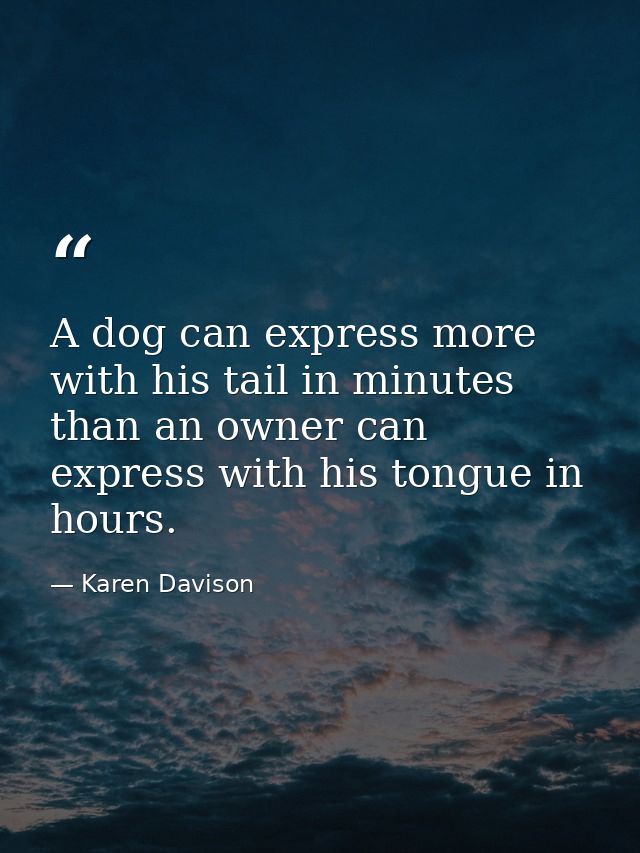 A dog can express more with his tail in minutes than an owner can express with his tongue in hours. — Karen Davison