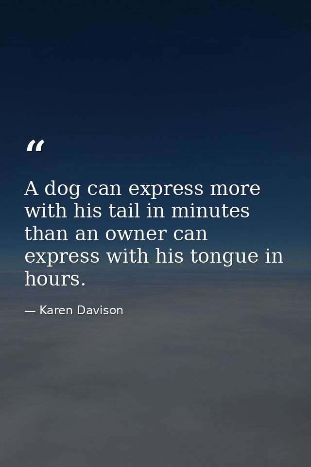 A dog can express more with his tail in minutes than an owner can express with his tongue in hours. — Karen Davison