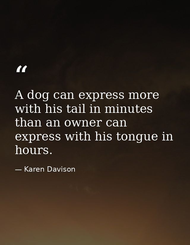 A dog can express more with his tail in minutes than an owner can express with his tongue in hours. — Karen Davison