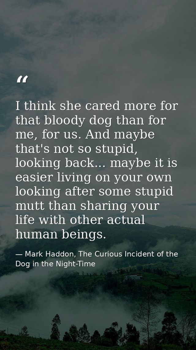 I think she cared more for that bloody dog than for me, for us. And maybe that's not so stupid, looking back... maybe it — Mark Haddon, The Curious Incident of the Dog in the Night-Time