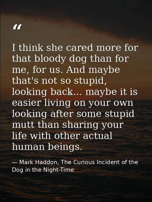 I think she cared more for that bloody dog than for me, for us. And maybe that's not so stupid, looking back... maybe it — Mark Haddon, The Curious Incident of the Dog in the Night-Time