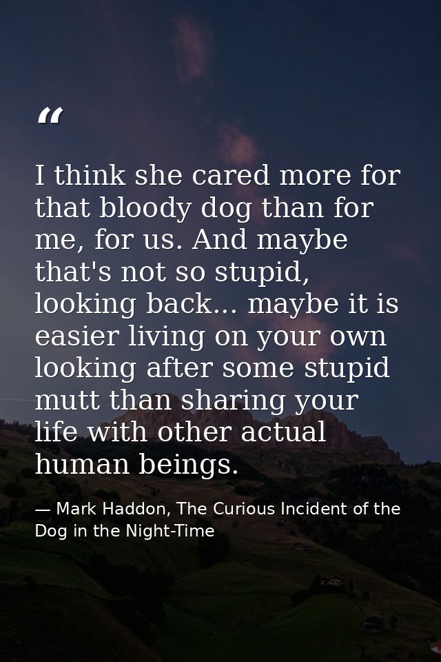 I think she cared more for that bloody dog than for me, for us. And maybe that's not so stupid, looking back... maybe it — Mark Haddon, The Curious Incident of the Dog in the Night-Time