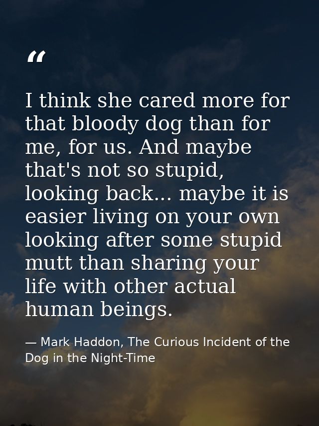 I think she cared more for that bloody dog than for me, for us. And maybe that's not so stupid, looking back... maybe it — Mark Haddon, The Curious Incident of the Dog in the Night-Time