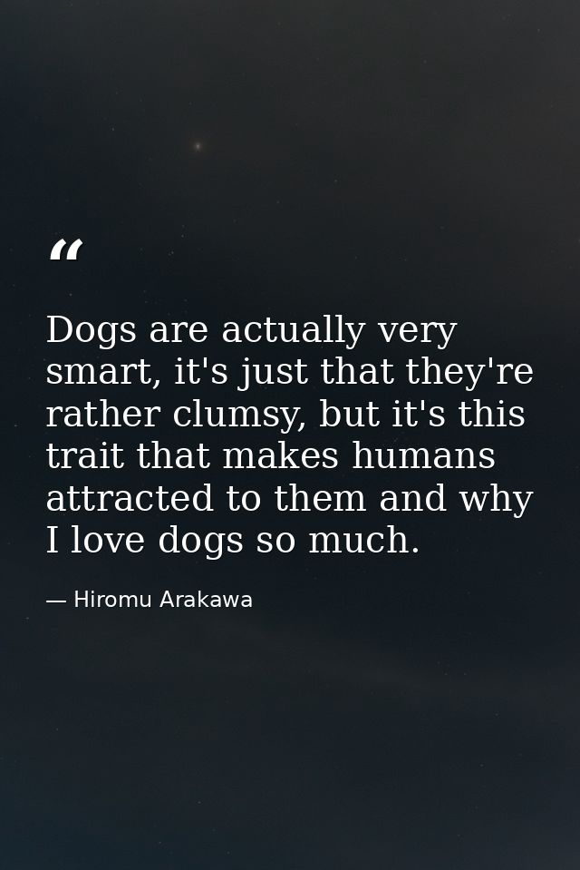 Dogs are actually very smart, it's just that they're rather clumsy, but it's this trait that makes humans attracted to t — Hiromu Arakawa