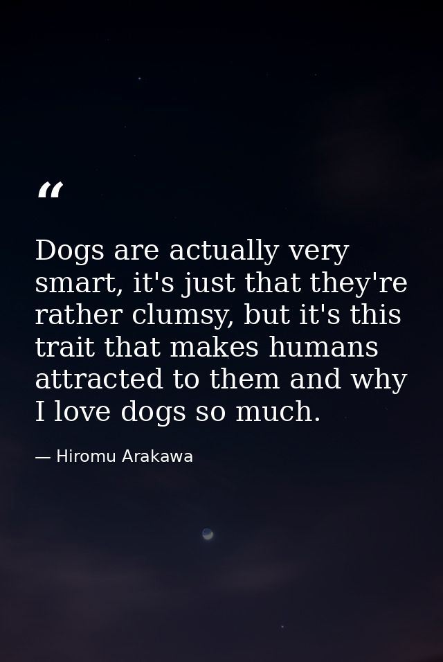 Dogs are actually very smart, it's just that they're rather clumsy, but it's this trait that makes humans attracted to t — Hiromu Arakawa