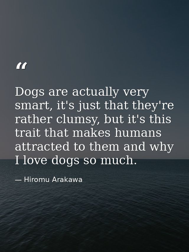 Dogs are actually very smart, it's just that they're rather clumsy, but it's this trait that makes humans attracted to t — Hiromu Arakawa