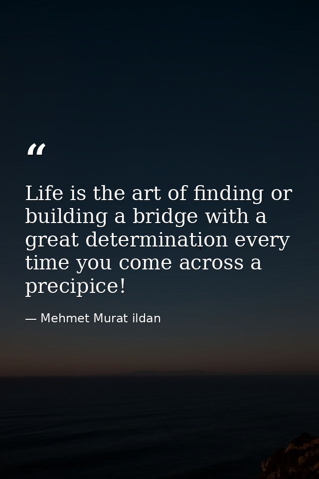 Life is the art of finding or building a bridge with a great determination every time you come across a precipice! — Mehmet Murat ildan