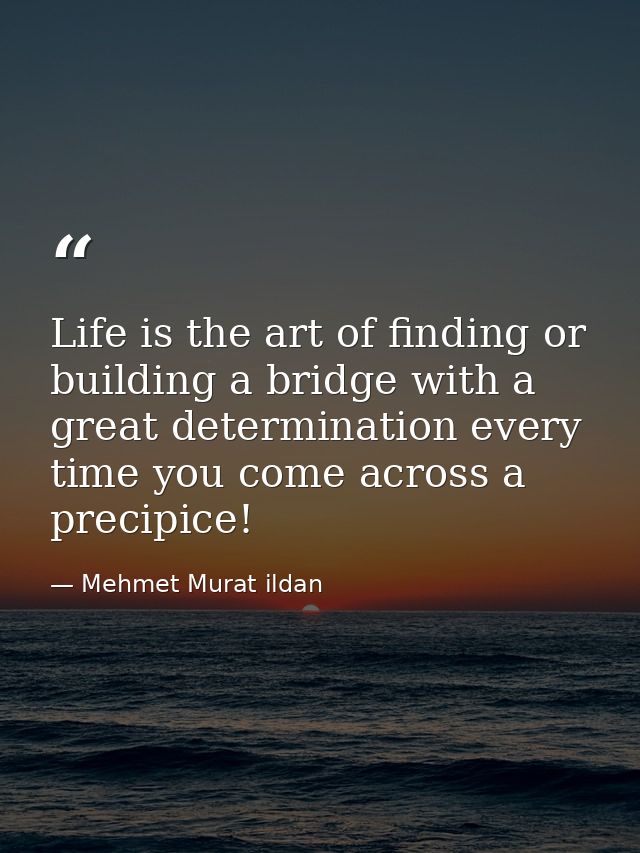 Life is the art of finding or building a bridge with a great determination every time you come across a precipice! — Mehmet Murat ildan