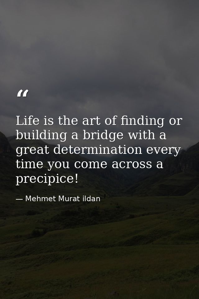 Life is the art of finding or building a bridge with a great determination every time you come across a precipice! — Mehmet Murat ildan