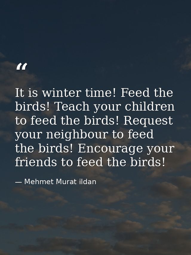 It is winter time! Feed the birds! Teach your children to feed the birds! Request your neighbour to feed the birds! Enco — Mehmet Murat ildan