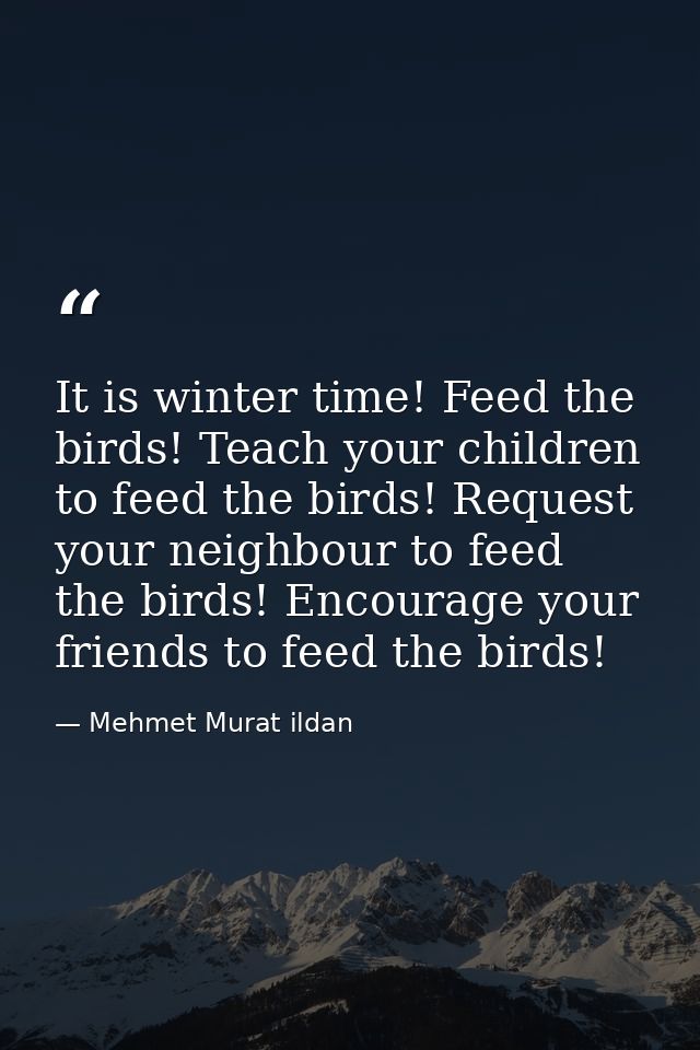 It is winter time! Feed the birds! Teach your children to feed the birds! Request your neighbour to feed the birds! Enco — Mehmet Murat ildan